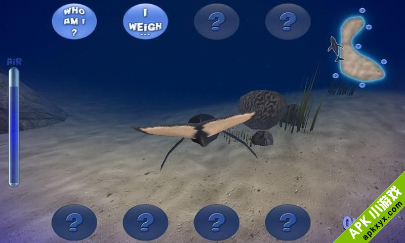 驼背鲸:Humpback Whale Lite