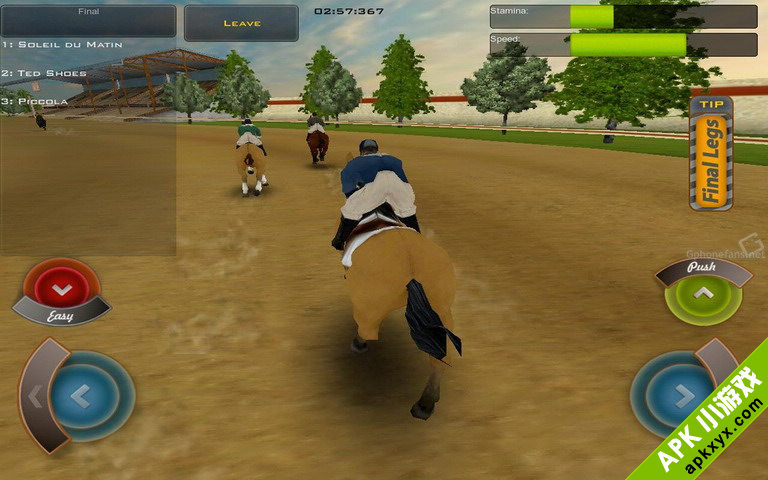 赛马冠军:Race Horses Champions