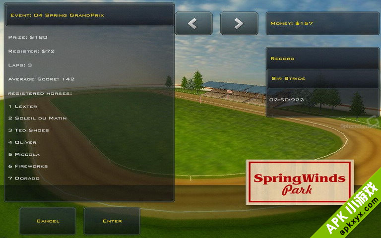 赛马冠军:Race Horses Champions