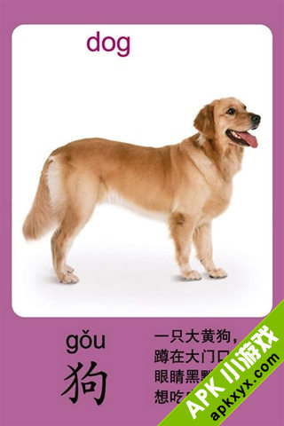 宝宝识动物