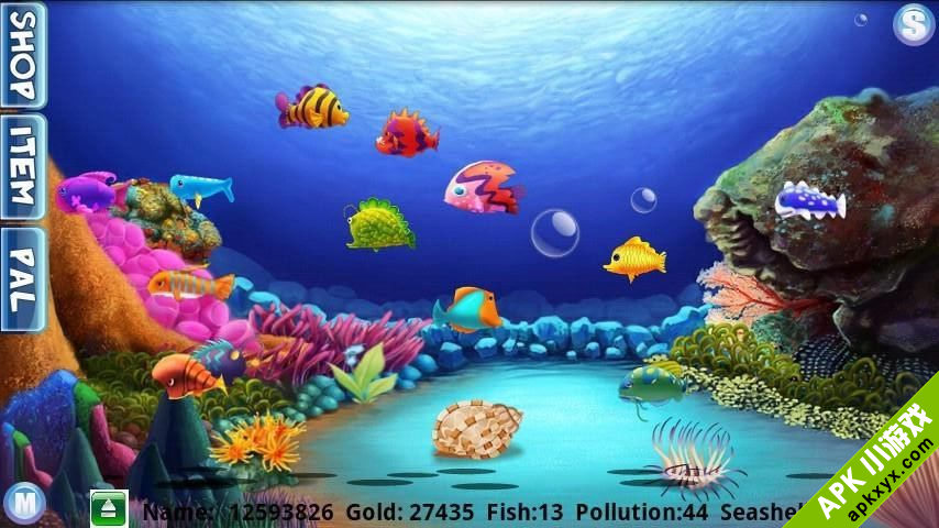 我的小鱼缸:My fish tank