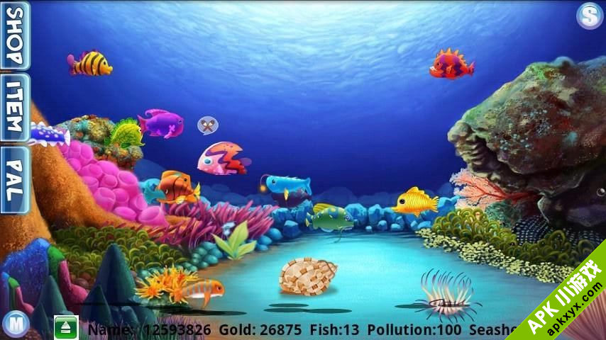 我的小鱼缸:My fish tank
