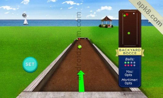地掷球:Bocce Ball