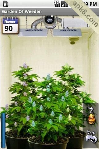 手机植物种植：Garden Of Weeden