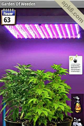 手机植物种植：Garden Of Weeden
