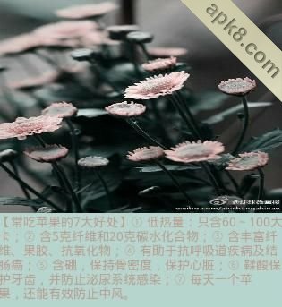健康养生