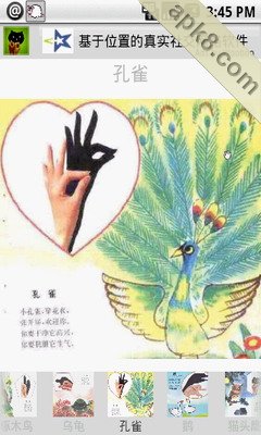宝贝手影