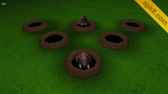 小猫游乐场:Cat Playground