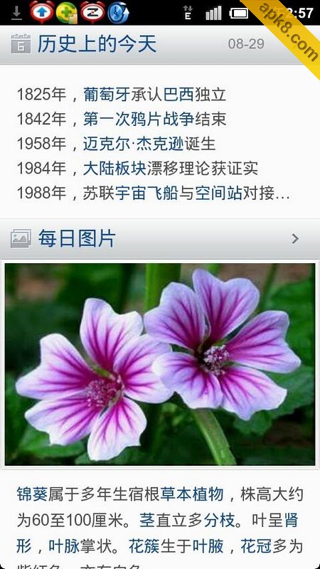 百度百科 官方版