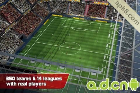 真实足球2011:Real Soccer 2011
