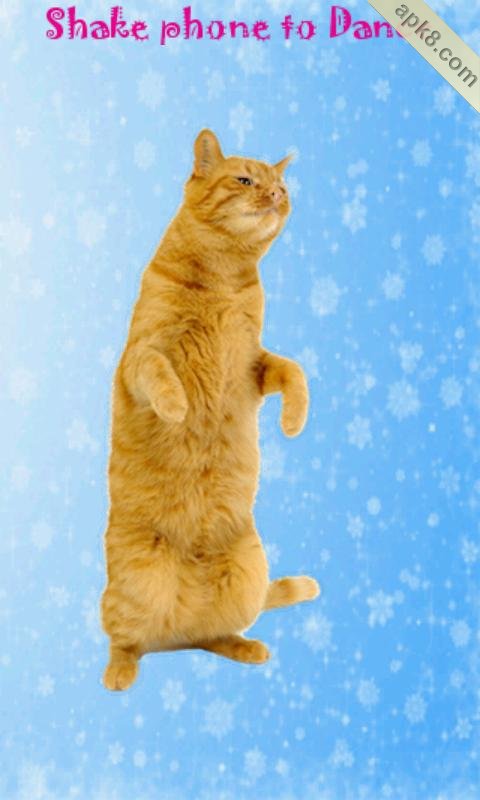 跳舞猫