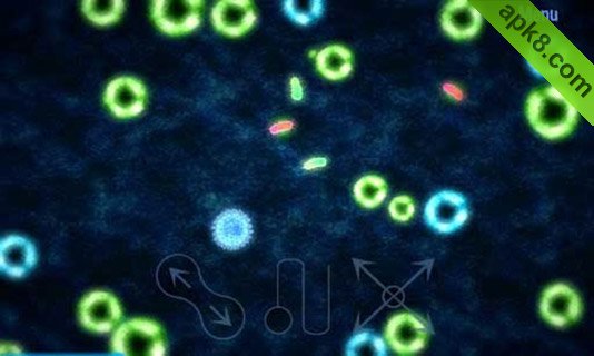 微生物战争:Petri
