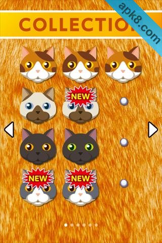 猫猫找茬:Odd Cat Out