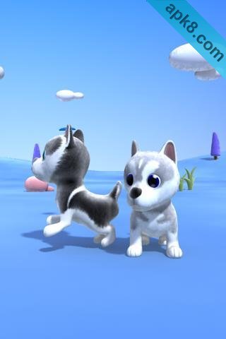 会说话的哈士奇狗:Talking Husky Dog