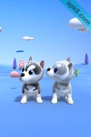 会说话的哈士奇狗:Talking Husky Dog
