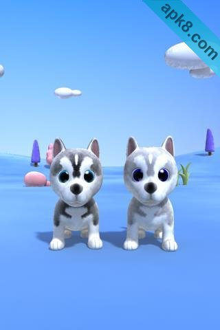 会说话的哈士奇狗:Talking Husky Dog