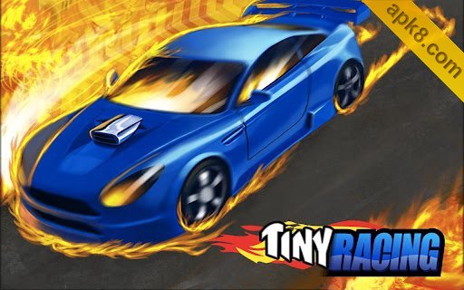 小小拉力赛:Tiny Racing