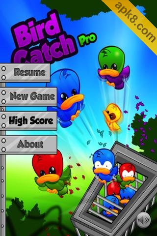 抓小鸟 高清版:Bird Catch Pro
