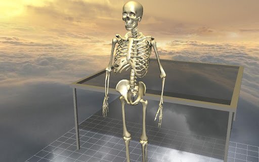 3D骨骼拆解:Body Disassembly 3D