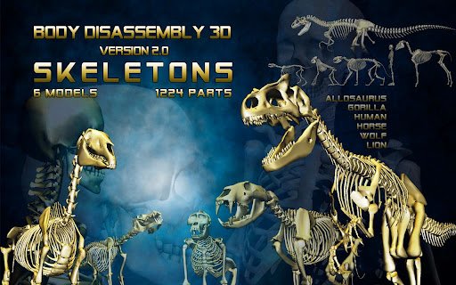 3D骨骼拆解:Body Disassembly 3D