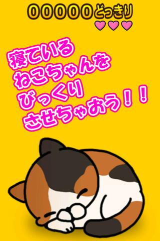 惊吓猫:Surprised cat