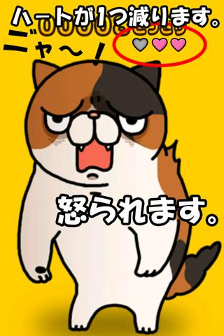 惊吓猫:Surprised cat