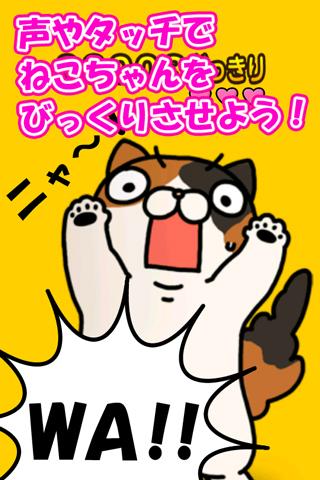惊吓猫:Surprised cat