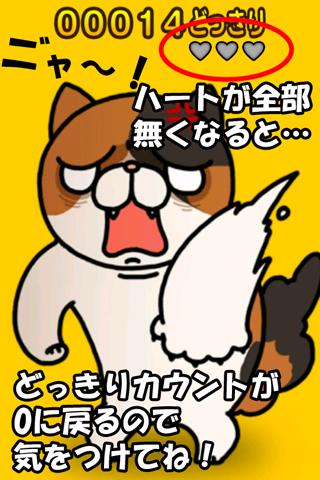 惊吓猫:Surprised cat