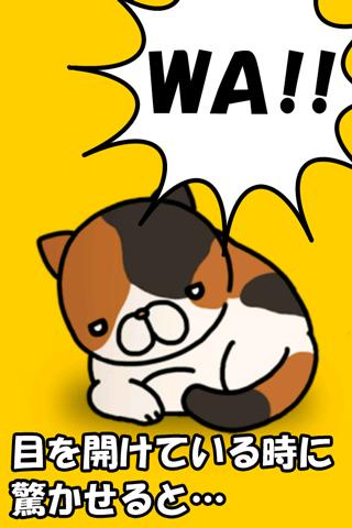 惊吓猫:Surprised cat