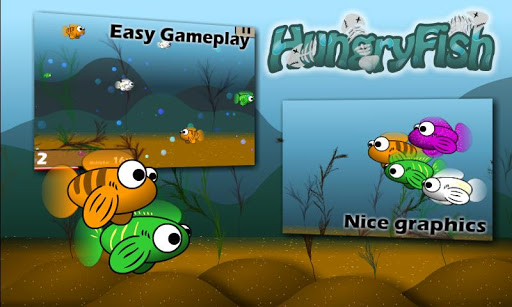 饥饿小鱼：Hungry Fish