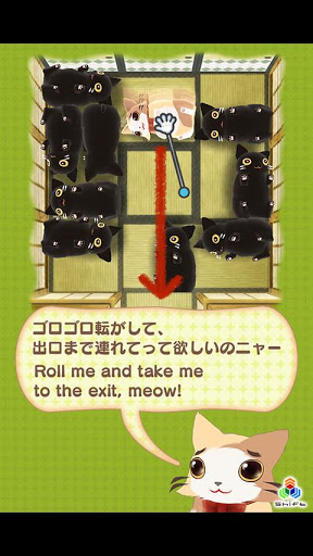滚动猫儿：ROLL MEOW OUT