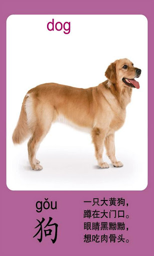 宝宝识动物