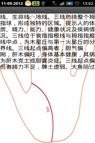手相看一生