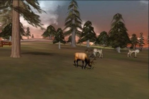 3D打猎：竞标赛HD：3D Hunting: Trophy Whitetail Championship