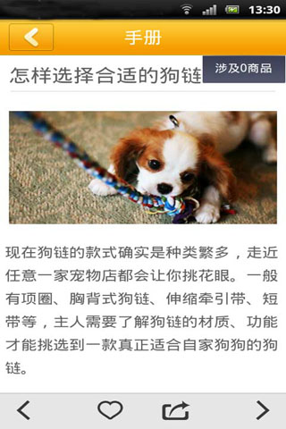 宠物交友