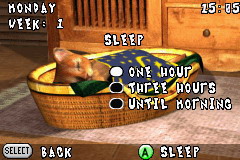 [GBA]猫猫狗狗-我们的朋友(美)