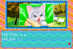 [GBA]宠物猫(美)
