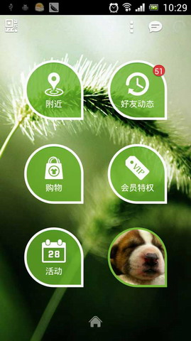IN成都