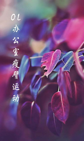 OL办公室瘦臂运动