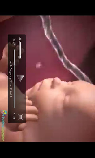 宝宝中心孕期实用指南