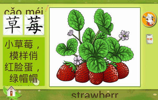 宝宝种水果