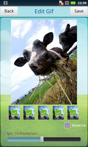 GIF相机:GIF Camera