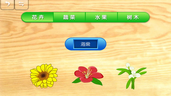 宝宝拼图:植物:kids Puzzle:Plants