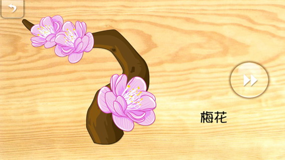 宝宝拼图:植物:kids Puzzle:Plants