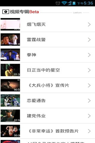 王力宏D版