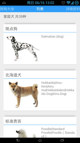 狗狗大全