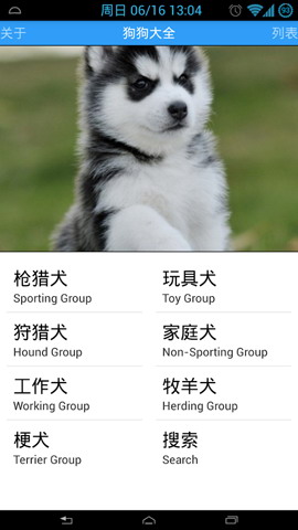 狗狗大全