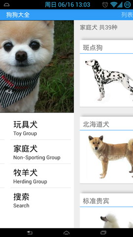 狗狗大全