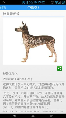 狗狗大全