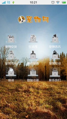 宠物行情